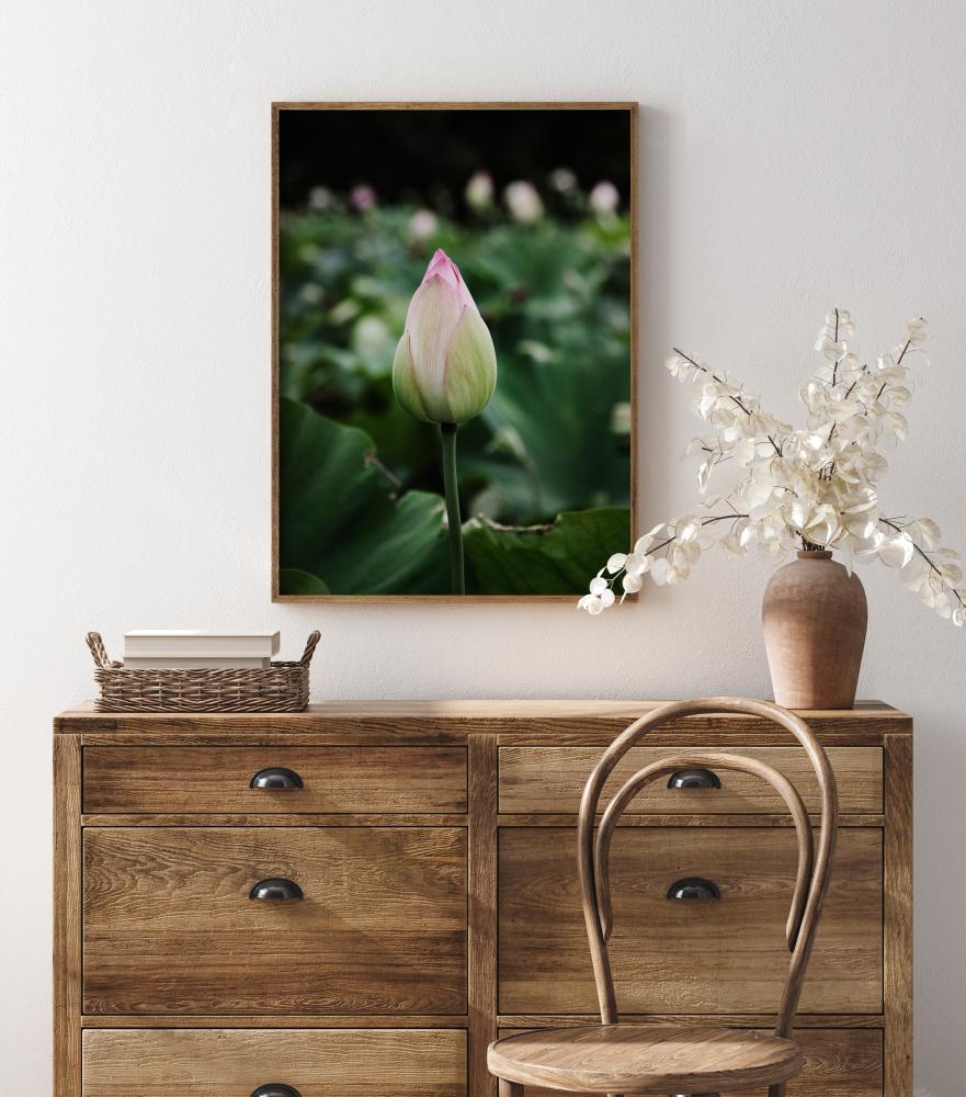 Peony Field Plakāts